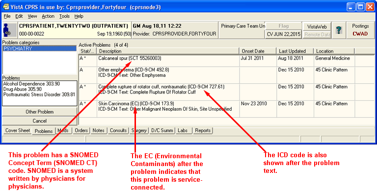 The Problems 
Tab diplay with various items identified and defined.