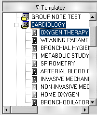 This screen capture shows the Templates pane of the template editor.